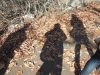 dscn1391