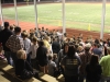 THS Fans