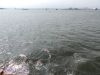 dscn1661