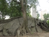 dscn1749