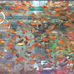 Ob hier jeder jeden kennt?