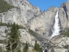 dsc08406-480x640