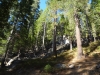 dsc04200-640x480