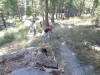 dsc04205-640x480