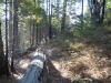 dsc04216-640x480