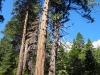 dsc03909-480x640_0