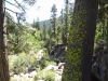 dsc03918-640x480_0