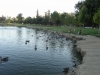 dsc03030-480x640