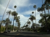 dsc02677-640x480