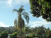 dsc02680-640x480