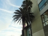 dsc02704-480x640