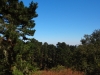 dsc03098-640x480