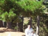 dsc03101-480x640