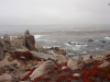 dsc03207-640x480