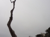dsc03228-480x640