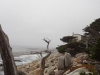 dsc03229-480x640