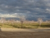 dsc07158-640x141