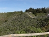 dsc07452-640x141