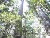dsc07670-359x640