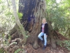 dsc07675-640x480