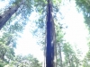 dsc07688-359x640