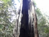 dsc07691-359x640