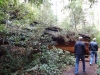 dsc07701-640x480