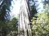 dsc07703-359x640
