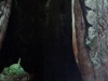 dsc07707-640x141