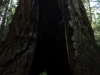 dsc07708-359x640