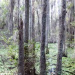 Blog_6_02