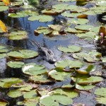 Blog_6_03