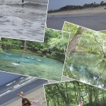 Jacksonville_and_Ginnie_Springs